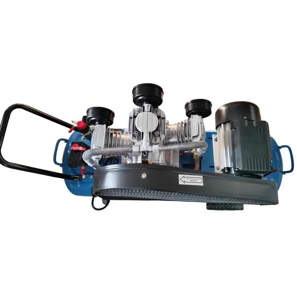 Компрессор воздушный 3065-100 220V/4.0HP