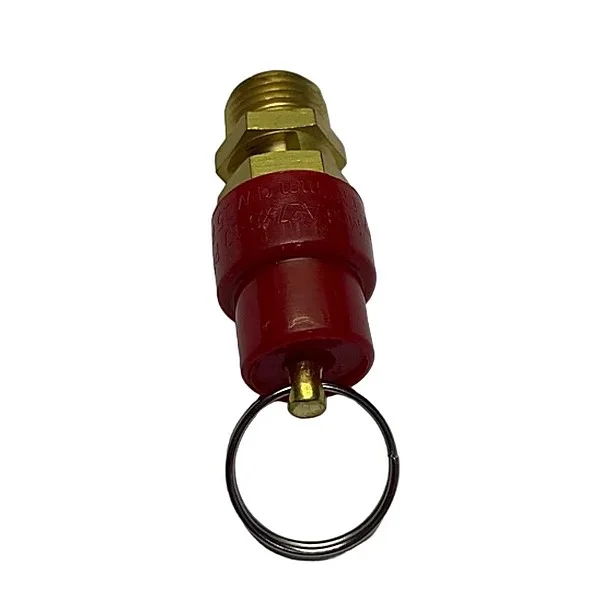 Защитный клапан для модели 2065-100 220V/3.0HP 2065-100-11