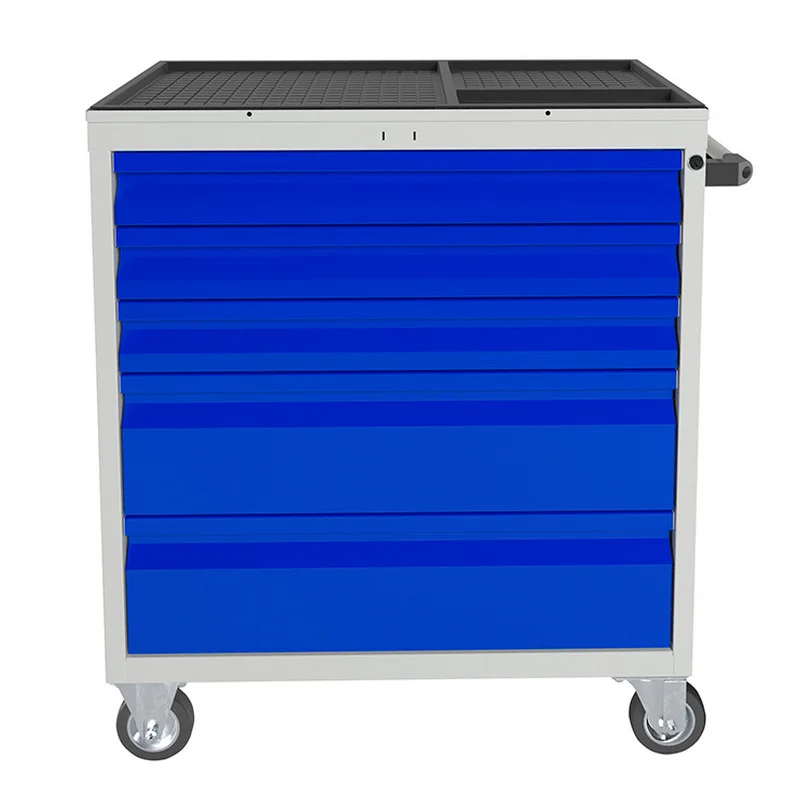 WDS-5