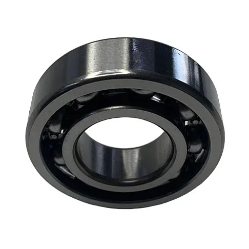 Подшипник для модели 2065-100 220V/3.0HP BV65-19