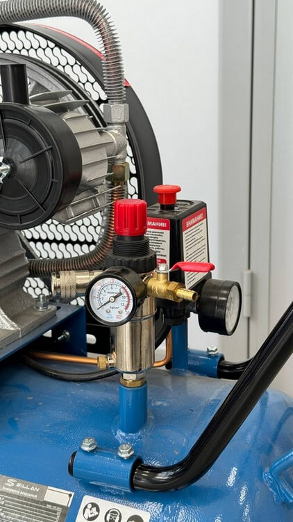 Компрессор воздушный 3065-100 220V фото 2