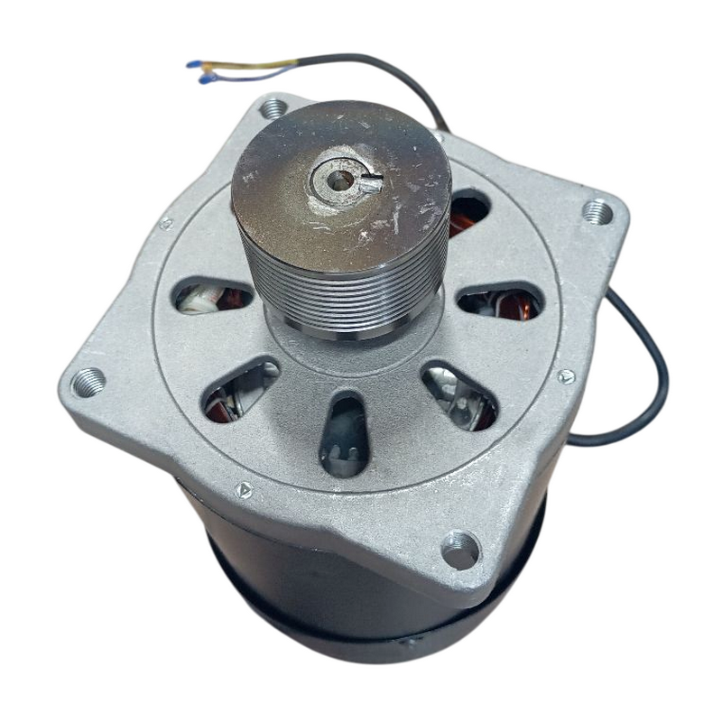 Двигатель на балансир PL1850 380V/50HZ/3PH, высота оси 48мм