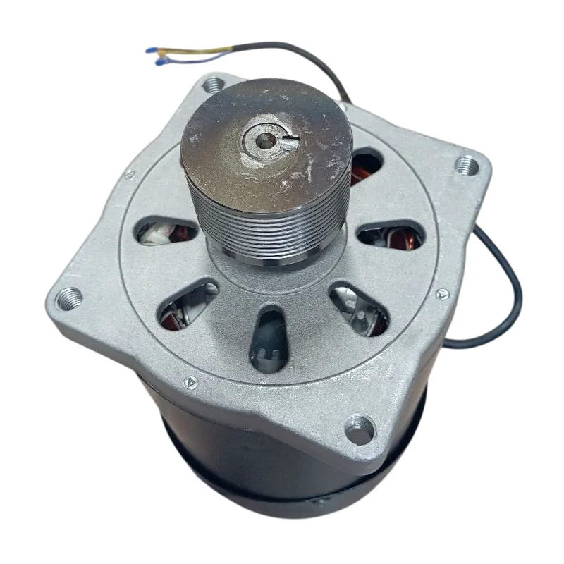 Двигатель на балансир PL1850 380V/50HZ/3PH, высота оси 48мм